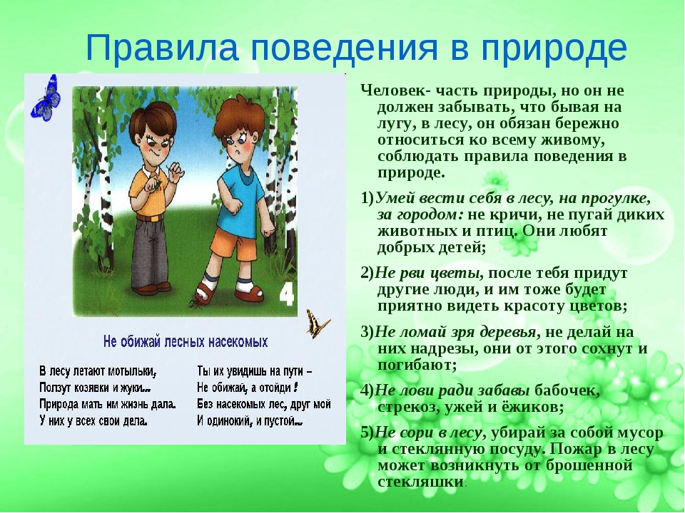 Памятка правила поведения в природе для детей в картинках